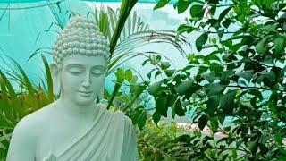 My Buddha corner on your demand Vijaya 's Creative Garden