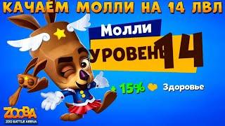 КАЧАЕМ КЕНГУРУ МОЛЛИ НА 14 УРОВЕНЬ В ИГРЕ ZOOBA