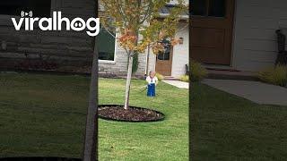 Novelty Trump Lawn Sprinkler || ViralHog