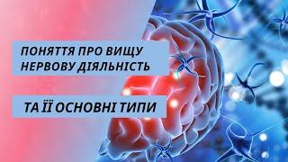 Поняття про вищу нервову діяльність та її основні типи