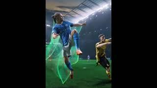 Untitled video