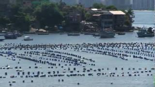 Boat Video - Grael (full)