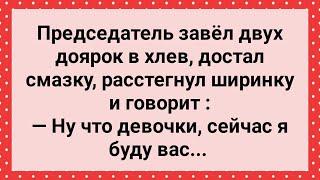 Председатель с Двумя Доярками в Хлеву! Сборник Свежих Анекдотов! Юмор!