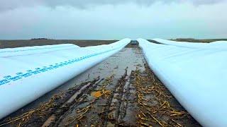 Day After Farm Flooding