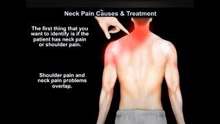 Neck Pain Causes and Treatment    Everything You Need To Know   Dr  Nabil Ebraheim