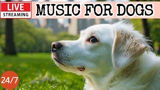 [LIVE] Dog MusicDog Calming MusicRelaxation Music for Dog SleepSeparation Anxiety Music10