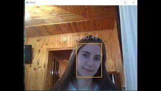 Face Recognition with FaceNet, MTCNN and SVM in details