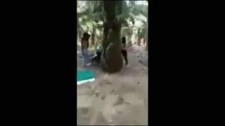 Viral Pasangan wikwik digrebek warga dikebun sawit