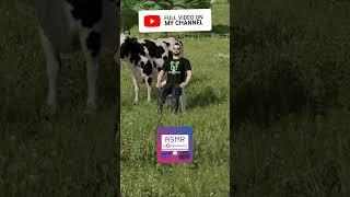 #farmingsimulator22 #landwirtschaftssimulator22 #ls22 #ls22mods #fs22 #fs22mods #asmr