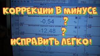 Коррекции в минусе! что делать? Мазда Фамилия двигатель ZL-VE большой расход топлива.