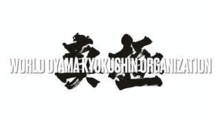 Aziz Ashrafov Legend Karate Kyokushin master class club Mubariz Moscow