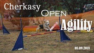 Cherkasy Open Agility 2018 | Beagle Xena