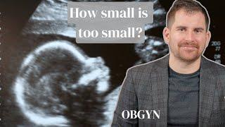 Growing a SMALL Baby?! OBGYN explains fetal growth restriction.