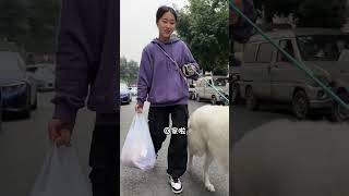 What is the experience of a pet chef coming to your home to cook a meal for your dog princess  spen