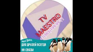 ТВ МАЭСТРО Драка бомжей на Савеловской