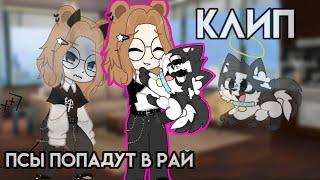 |Клип|~Псы попадут в рай~|Полматери.|Gacha Club|GCMV|Гача клуб|