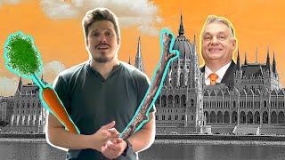 Répa, husáng, Orbán-rendszer