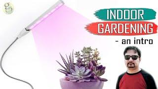 INDOOR GARDENING – An Introduction to Basics