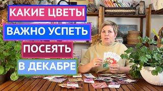 НЕ УПУСТИТЕ ВРЕМЯ! СЕЕМ ЦВЕТЫ В ДЕКАБРЕ