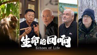 CGTN Documentary: Echoes of Life