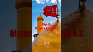 Hayee Mazloom Hussain A.S #nadeemsarwar #2025 #yaali