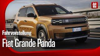 First impression of the Fiat Grande Panda Electric with Rolf Klein