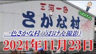 【最新情報】変態店主からの超難問！謎の貝の正体とは？『一色さかな村』白い汁出ましたwww