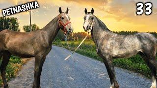 20.06.2025 АНДИЖОН ОДИЛЖОН АКАДАН ИККИ ТОЙ СОТИЛАДИ  !..