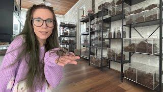 My SPIDER ROOM *FULL TOUR!!!* Meet our new CATS! Haunted attic.. Bowser's tank & MORE