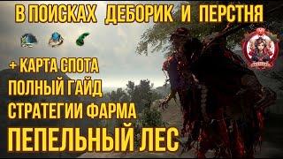 [BDO]  ПЕПЕЛЬНЫЙ ЛЕС / РАЗБОР СПОТА И МЕХАНИК ФАРМА / ДЕБОРИКА И ПЕРСТЕНЬ / КАРТА СПОТА #ashforest