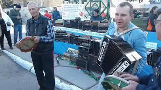 Гармонь Гармоника Зараза брось, Гармоніст  -  Ярмарок
