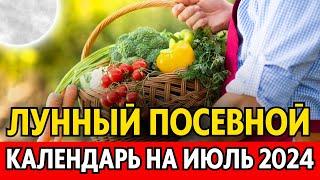 Когда собирать, сеять, сажать в ИЮЛЕ? Лунный посевной календарь на июль 2024, календарь огородника