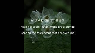 Jonghyun (종현) - Diphylleia Grayi (Skeleton Flower) (산하엽) Han/Rom/Eng Lyrics