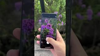 xiaomi 13 pro camera test New mobile  | #shorts #capturethemoment #xtech
