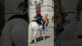 CHINESE TOUR GUIDE SPOOKS THEBKONGS GUARDS HORSE