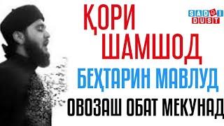  Кори Шамшод - Бехтарин Мавлуд, садояш обат мекунад | قاری شمشاد- مولود صدایش چه زیباست Садои Дуст