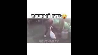 Мощный Гусь 