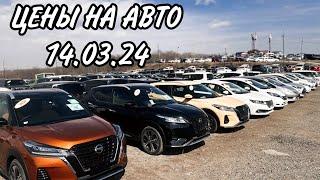 ЦЕНЫ НА АВТО 14.03.24 #подборавто #владивосток #помощьприпокупке #автоэксперт