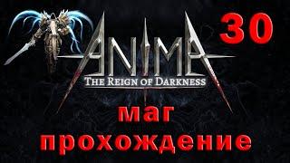 Anima arpg обновление