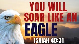 What The Bible Says About Eagles. Daily Devotional For 2024- A Must Watch For Spiritual Growth.