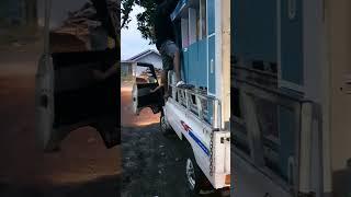 janda muda