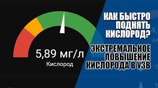 Быстро поднимаем содержание кислорода в воде. Как быстро насытить воду кислородом.