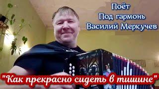 "Как прекрасно сидеть в тишине", (красивая песня под гармонь о любви). Поёт Василий Меркучев.