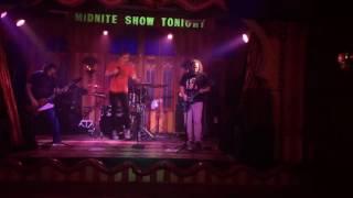 Ferret Man! - The Electric Ferrets 2016-11-18