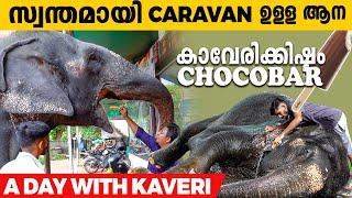 ആനക്ക് Caravan? കാവേരി എന്ന ആനക്ക് ഏറ്റവും പ്രിയം Chocobar-ഉം Tiger Biscuit-ഉം