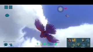 Argy pick battle with tribemate !!! | SadBoi Gaming