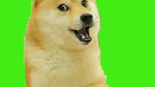 Doge Green screen Meme Template Speaking Doge template