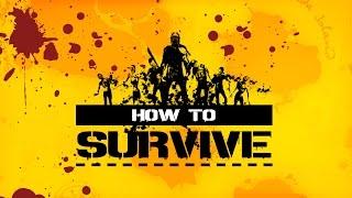 Как изменить разрешение экрана в How to Survive