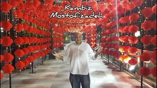 Kambiz Mostofizadeh - Devils Market