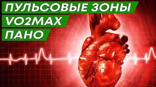 Пульсовые зоны. Аэроб и анаэроб. Пано. МПК (VO2 MAX)